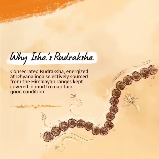 Authentic Isha Panchamukhi (five-faced) Rudraksha Mala. Consecrated at Dhyanalinga. Your cocoon of energy (6 mm)